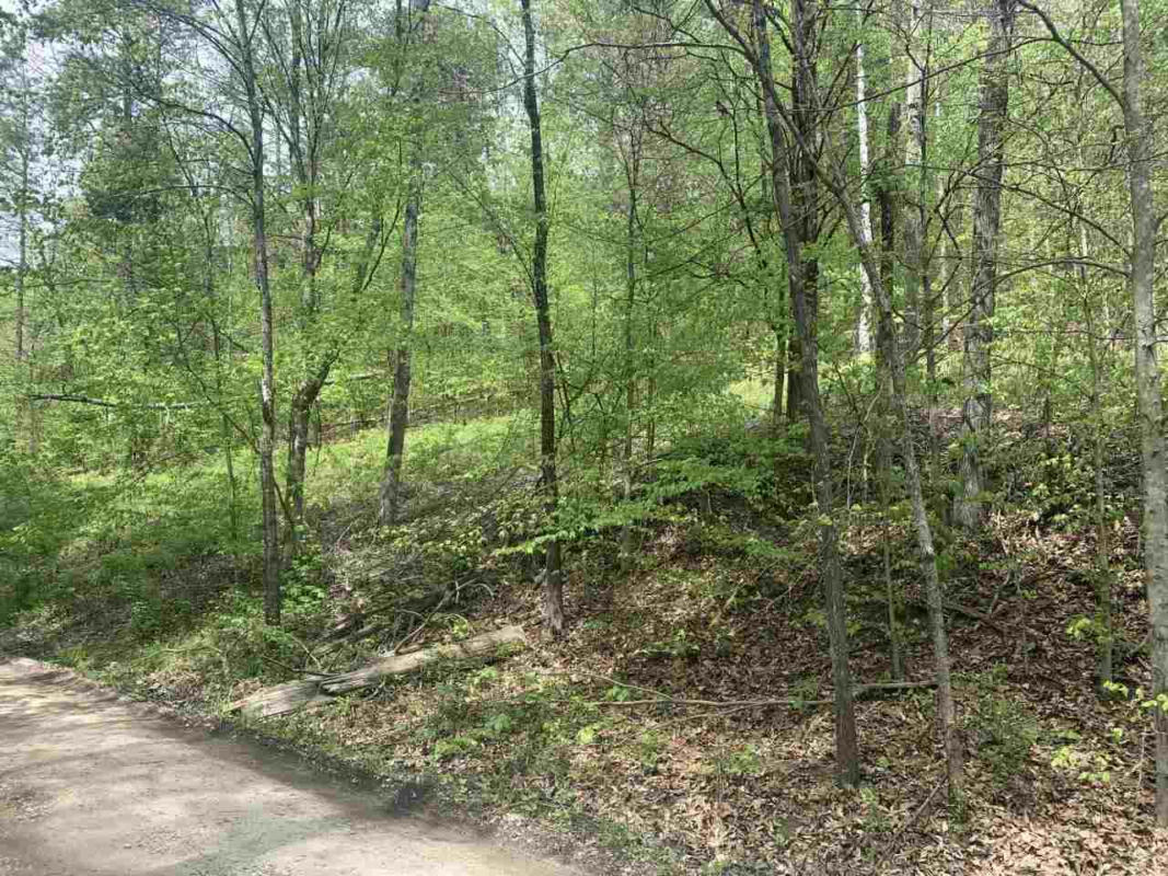 WHEELER HOLLOW ROAD, FORT GAY, WV 25514, photo 1 of 4
